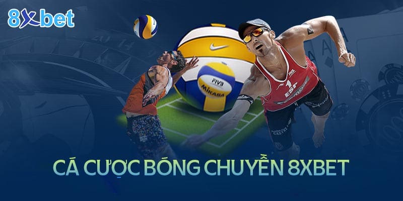 Cá cược bóng chuyện 8XBet