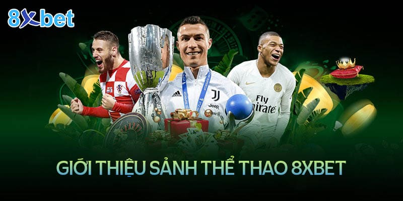 Giới thiệu về sảnh cá cược thể thao tại nhà cái 8XBet