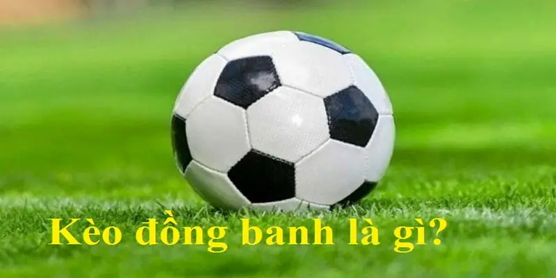 keo-chap-dong-banh-8xbet